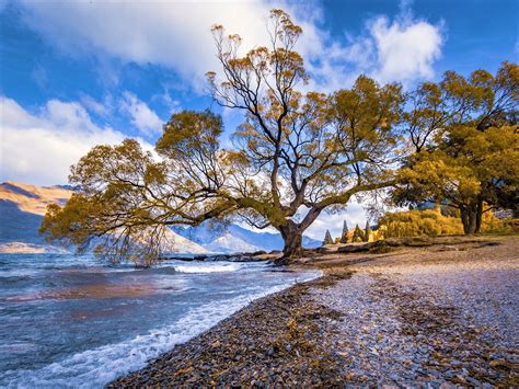 fall beach background|Fall Beach Photos Pictures, Images and Stock Photos.